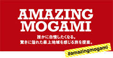 AMAZING MOGAMI